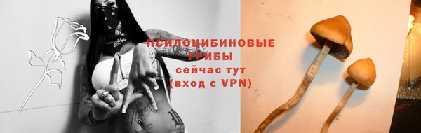 твердый Алзамай