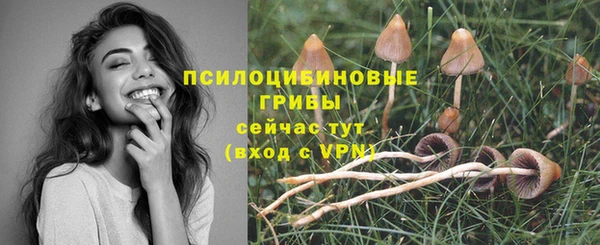 круглые Алексеевка