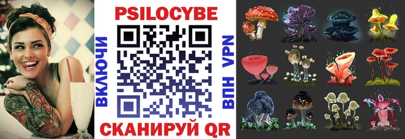 Псилоцибиновые грибы Cubensis  Усмань 